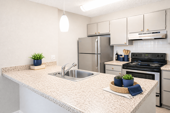 Stainless steel appliances*
